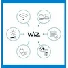 WIZ WI-FI BLE 40W P45 E14 922-65 RGB 1PF/6