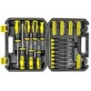 WMC TOOLS Rinkinys śrubokrętów wkrętaków i bitów su magnesem 65el.