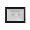 Wojnarowscy NOCTIS LUX 4 prožektorius 50W CW 230V IP65 176x137x25mm juodas