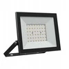 Wojnarowscy NOCTIS LUX 4 prožektorius 50W CW 230V IP65 176x137x25mm juodas