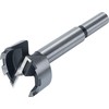 Wolfcraft Medienos grąžtas su savaiminio tiekimo cilindriniu 48 mm (WF3328000)