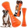 X-Bionic BIONIC Urban Stick, kramtukas šunims, M, 23 cm