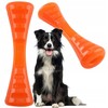 X-Bionic BIONIC Urban Stick, kramtukas šunims, M, 23 cm