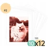Xrec 120x Popieriniai Įdėklai Įdėklai Nuotraukoms Fotoaparatui Kiimento Modelis P2 4x Spalva / Print Packs 10x12 / 120 Vnt