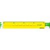 4-in-1 20 cm liniuotė, trintukas, galąstuvas, pieštukas - Y-Plus