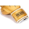 Yakimasport Yakima Tiger Gold V Bokso pirštinės 14 oz 10039514OZ