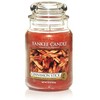 Yankee Candle Cinnamon Stick Scented Candle, 623 g