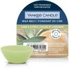 Yankee Candle Sage &amp; Citrus 22 g