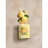 Yankee Candle Signature citrinų skonio gelato žvakė didelė, 567 g