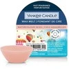 Yankee Candle Watercolor Skies 22 g