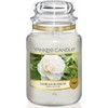 Yankee Candle Camellia Blossom Scented Candle, 623 g