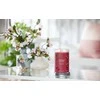 Yankee Candle Aromatinė žvakė Signature tumbler large Juodas Cherry 567 g