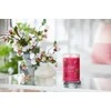 Yankee Candle Aromatinė žvakė Signature tumbler large Raudona Raspberry 567 g