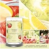 Yankee Candle Aromatinė žvakė Signature tumbler Iced Berry Lemonade 567 g