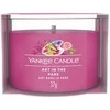 Yankee Candle Yankee žvakė „Art In The Park“ 37 g