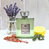 Yardley Gentleman Urbane EDP parfumuotas vanduo vyrams, 100 ml