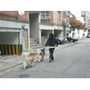 YASHICA DigiPix 100 (Baltas)