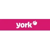York - Medinis šepetys su arklio ašutais 40 cm