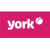 York Vazos kempinės 24vnt. + 4 nemokamai
