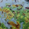Zachem Globe 220 zoologinis aprašymas