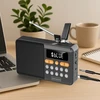 Garsiakalbis Zenwire YSF-005BT