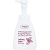 Ziaja Intimate Foam Wash Cranberry Nectar Intimate Cosmetics moterims, 250 ml
