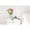Dėlionė Puluz 1.1 m trikojo laikiklis + 10 colių 26 cm RGBW LED žiedo Vlogging Video Light Live PKT3044