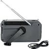 Thomson RT280G – daugiafunkcis FM/AM radijas ir 8000 mAh talpos išorinė baterija