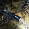 Žibintuvėlis Fenix Žibintuvėlis LED Fenix TK25R