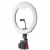 Žiedinė lempa Jinbei Žiedinė lempa LED Jinbei EFR-48 2700-7500K