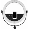 Yongnuo LED YN508-wb (5500K)