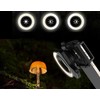 Žiedinė lempa Apexel Žiedinė LED makro lempa telefonui fotoaparatui 37 / 52 mm / Apl-fl26
