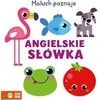 Zielona Sowa ZIELONASOWA Mažylis mokosi anglų kalbos žodžių 94070