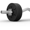 Zipro Obciążenie bitumiczne 2,5kg 31 mm powlekane