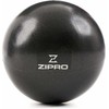Zipro Kamuolys fitness Miniball 20 cm