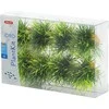 Zolux Dirbtinių augalų rinkinys 3cm 8vnt