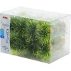 Zolux Mažų augalų rinkinys IDR 24 vnt.