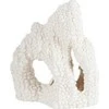 Zolux KORAL Rock Model 2