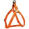 Zolux Breketai reguliuojamas Mac Oda 20 mm - oranžinė