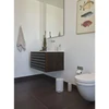 Zone Vonios šiukšlių krepšys 3 L Soft Pilkas Solo 34774