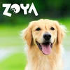 Saldainiai šunims - ZOYA Shiny Teeth jautiena 80g Grain-Free Hypoallergenic