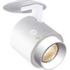 Lubinis šviestuvas Lampa sufitowa Zuma Line PLAFON SCOPY1 (ACGU10-150)