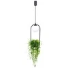 Pakabinamas šviestuvas Lampa wisząca Zumaline Lampa wisząca PLANT 1 5003 Zuma Line