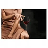 Zwiesel Glass, 646 ml, Spirit, 2 pcs
