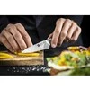 Zwilling TANREI 10 cm kiaulienos ir garnyro peilis