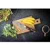 Zwilling TANREI 10 cm kiaulienos ir garnyro peilis