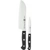 Rinkinys 2 noży ZWILLING Gourmet 36130-002-0