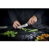 Zwilling TANREI Chefs peilis 14 cm