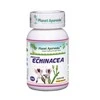 Ayumi Naturals Skėstašakis kamras Indian Echinacea, ekologiškas, Planet Ayurveda, 60 kapsulių