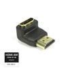 Qoltec HDMI adapteris A vyr. – A mot. kampuotas